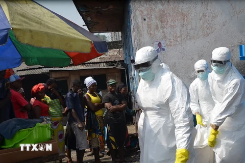 WHO kêu gọi quốc tế tiếp tục hỗ trợ nỗ lực xóa dịch Ebola