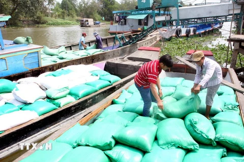 Doanh nghiệp tại Long An hoàn thành chỉ tiêu thu mua lúa tạm trữ
