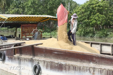 Kiến nghị Nhà nước tham gia dự trữ 10-12% sản lượng lúa gạo