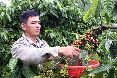 Việt Nam chia sẻ sáng kiến nông nghiệp tại diễn đàn Phát triển châu Á