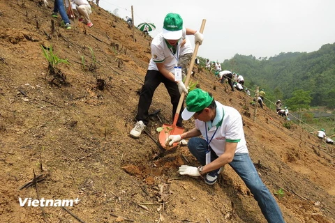 Honda Việt Nam tiếp tục triển khai dự án trồng rừng tại Bắc Kạn