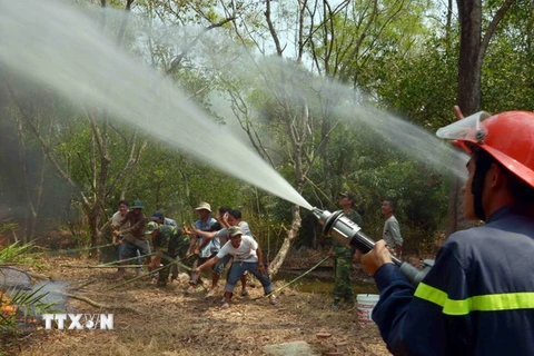 Tăng cường phòng cháy chữa cháy rừng ở Vườn Quốc gia Tràm Chim
