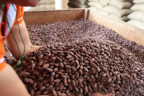 Peru giới thiệu 500 giống cacao các loại tại hội chợ quốc tế 