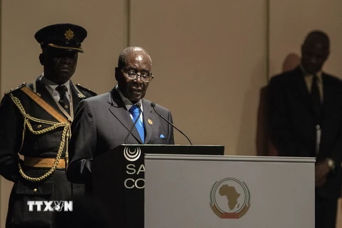 Lãnh đạo AU kêu gọi nỗ lực cho hòa bình và phát triển ở châu Phi