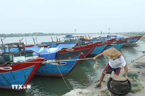 Ngư dân ở thị trấn Cửa Tùng, huyện Vĩnh Linh neo đậu tàu thuyền tránh bão. (Ảnh: Hồ Cầu/TTXVN)