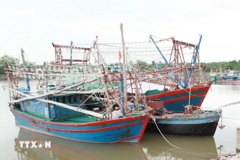 Tàu thuyền về neo đậu tránh bão tại âu cảng Mắt Rồng, Thủy Nguyên (Hải Phòng). (Ảnh: Lâm Khánh/TTXVN)
