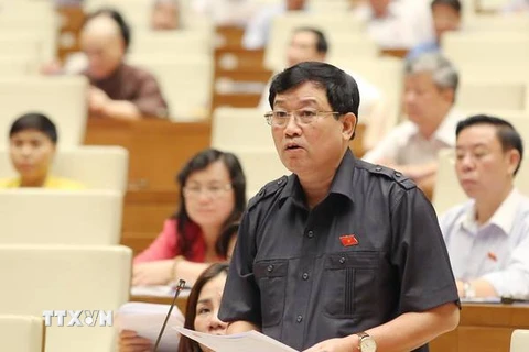 Đại biểu Quốc hội tỉnh Bình Thuận Hà Minh Huệ phát biểu ý kiến. (Ảnh: An Đăng/TTXVN)