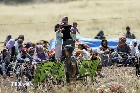 Những người dân Syria tại biên giới với Thổ Nhĩ Kỳ sau khi bỏ trốn khỏi thị trấn Kobane. (Nguồn: AFP/TTXVN)