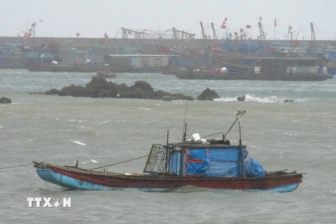 Tàu thuyền của ngư dân và tránh trú bão tại huyện đảo Cô Tô. (Ảnh: Thu Hằng-Thu Báu/TTXVN)