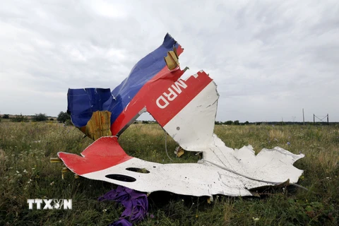 Xác máy bay MH17 tại Shaktarsk, miền Đông Ukraine. (Nguồn: AFP/TTXVN)