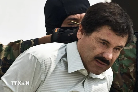 Trùm ma túy khét tiếng người Mexico Joaquin ''Chapo'' Guzman. (Nguồn: AFP/TTXVN)