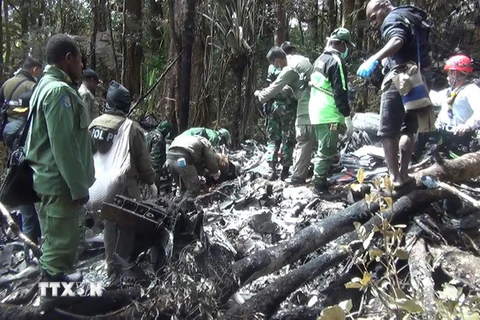 Nhân viên cứu hộ Indonesia tại khu vực máy bay rơi. (Nguồn: AFP/TTXVN)