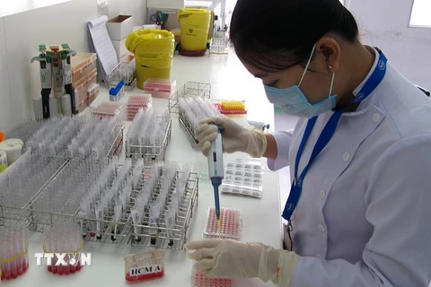  Sàng lọc máu tại Ngân hàng tế bào gốc của Bệnh viện Truyền máu-Huyết học Thành phố Hồ Chí Minh. (Ảnh: Phương Vy/TTXVN)