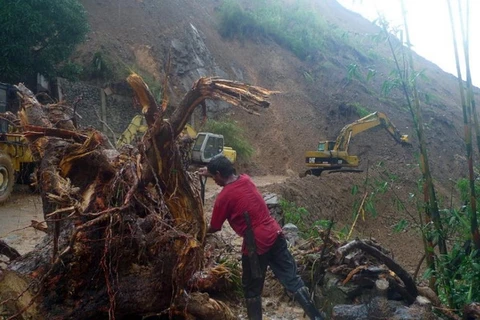 Công nhân dọn dẹp đất đá và cây đổ sau khi bão Goni tràn qua gây sạt lở. (Nguồn: AFP)