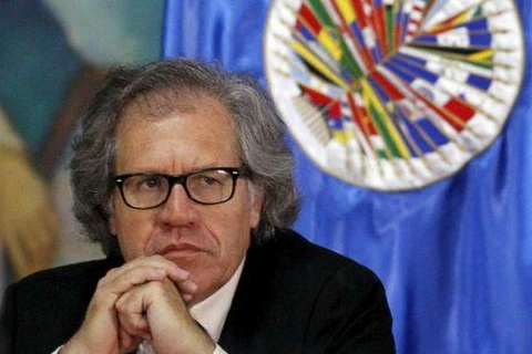 Tổng thư ký OAS Luis Almagro. (Nguồn: Reuters)