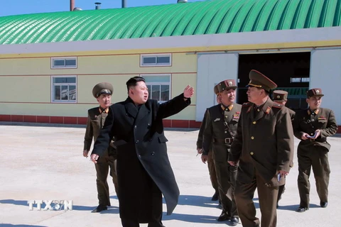 Nhà lãnh đạo Triều Tiên Kim Jong-Un (giữa) kiểm tra nhà máy sản xuất thức ăn cho cá do đơn vị 810 Quân đội Triều Tiên mới xây dựng. (Nguồn: AFP/TTXVN)