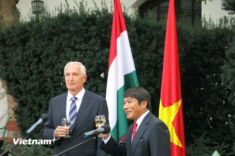 Đại sứ Nguyễn Thanh Tuấn và Quốc vụ khanh Istvan Mikola. (Nguồn: Vietnam+)
