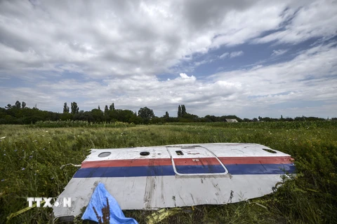 Mảnh vỡ máy bay MH17 gần làng Grabove, vùng Donetsk, miền Đông Ukraine. (Nguồn: AFP/TTXVN)