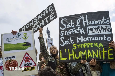 Biểu tình tại Paris (Pháp), phản đối tập đoàn Monsanto và thực phẩm biến đổi gen. (Nguồn: AFP/TTXVN)