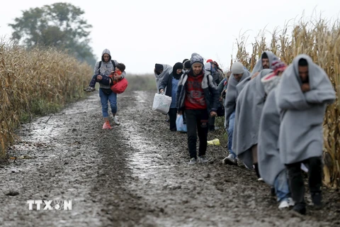 Người di cư vượt biên giới Serbia-Croatia. (Nguồn: Reuters/TTXVN)