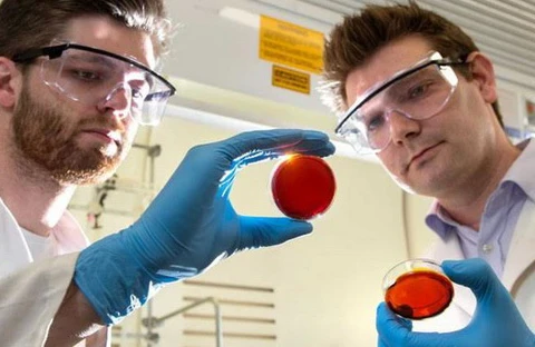 Hai nhà khoa học tìm ra phương pháp mới Max Worthington và Justin Chalker. (Nguồn: Daily News)