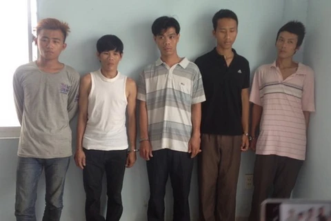 Thành phố Hồ Chí Minh: Triệt phá hai băng trộm, cướp nguy hiểm