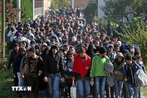 Người di cư tới thị trấn Kljuc Brdovecki, biên giới Croatia-Slovenia bằng tàu hỏa ngày 24/10. (Nguồn: AFP/TTXVN)