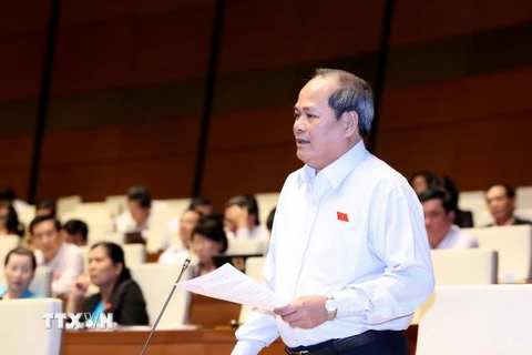 Đại biểu Quốc hội tỉnh Quảng Nam Ngô Văn Minh phát biểu ý kiến. (Ảnh: Phương Hoa/TTXVN)