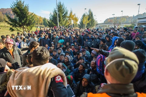 Người di cư tại khu vực biên giới Slovenia-Áo. (Nguồn: AFP/TTXVN)