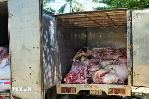 Chiếc xe tải chở thịt lợn bẩn. (Ảnh: Dương Chí Tưởng/TTXVN)
