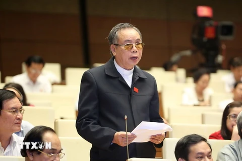 Linh mục Lê Ngọc Hoàn, Đại biểu Quốc hội tỉnh Nam Định phát biểu ý kiến. (Ảnh: Phương Hoa/TTXVN)