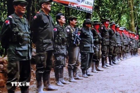 Các thành viên ELN nghe thủ lĩnh Nicolas Rodriguez thông báo quyết định đàm phán hòa bình với Chính phủ Colombia. (Nguồn: AFP/TTXVN)