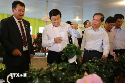 Chủ tịch nước Trương Tấn Sang thăm Công ty Rừng Hoa Đà Lạt, thành phố Đà Lạt. (Ảnh: Phạm Kha/TTXVN) 
