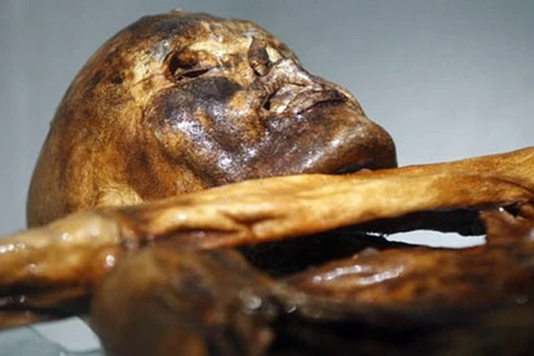 Xác ướp người băng Otzi. (Nguồn: AFP)