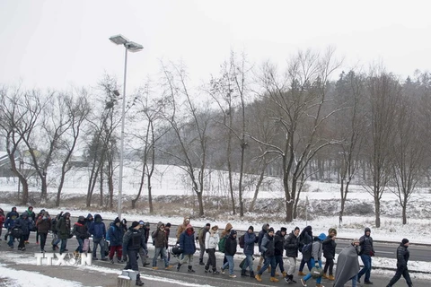 Người tị nạn tại khu vực viên giới Slovenia-Áo. (Nguồn: AFP/TTXVN)