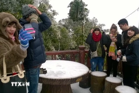 Nhiều bạn trẻ đã lên Vườn Quốc gia Ba Vì (Hà Nội) để ngắm tuyết rơi. (Nguồn: TTXVN)