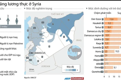 [Infographics] Toàn cảnh về cuộc khủng hoảng lương thực ở Syria