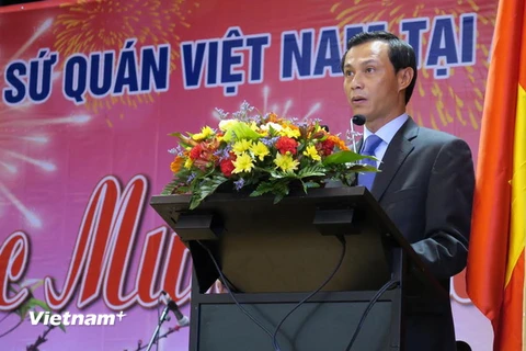 Đại sứ Lương Thanh Nghị phát biểu tại buổi gặp mặt. (Ảnh: Khánh Linh/Vietnam+)