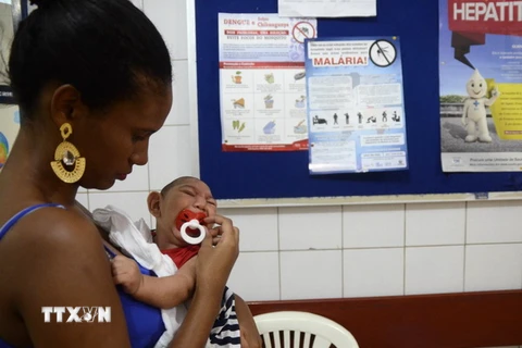 Một trẻ nhỏ bị mắc bệnh teo não do virus Zika gần Recife, thủ phủ Pernambuco, miền Đông Bắc Brazil. (Nguồn: THX/TTXVN)