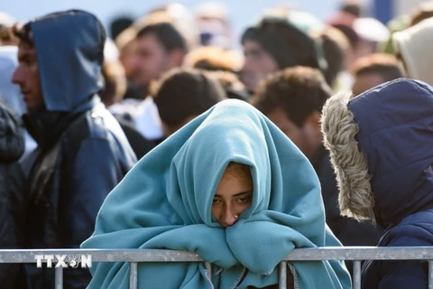 Người di cư và tị nạn tại biên giới Slovenia-Áo. (Nguồn: AFP/TTXVN)