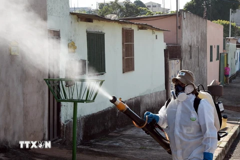 Nhân viên y tế Brazil phun thuốc khử trùng nhằm ngăn chặn sự lây lan của virus Zika. (Nguồn: AFP/TTXVN)