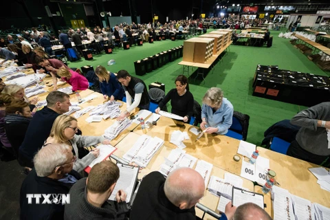 Các nhân viên bầu cử kiểm phiếu tại Dublin. (Nguồn: AFP/TTXVN)