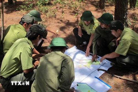 Lực lượng kiểm lâm cùng với các chủ rừng kiểm tra phương án phòng chống cháy rừng trong mùa khô. (Ảnh: Văn Thông/TTXVN)
