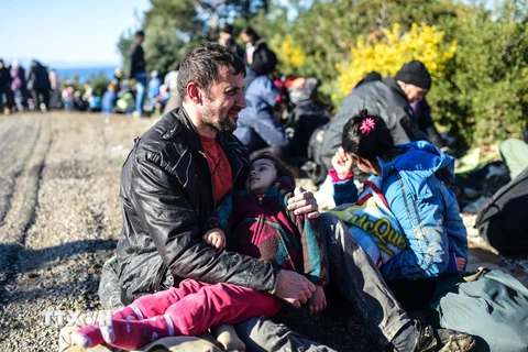 Người tị nạn Syria đến đảo Lesbos, Hy Lạp từ Dikili, miền Tây Thổ Nhĩ Kỳ. (Nguồn: AFP/TTXVN)