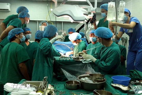 Một ca ghép tạng tại Bệnh viện Việt Đức. (Nguồn: TTXVN)