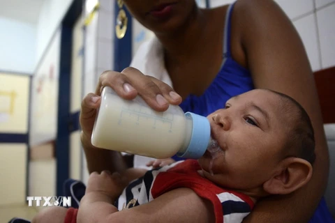 Em bé bị mắc chứng đầu nhỏ được theo dõi tại bệnh viện Oswaldo Cruz, Đông Bắc Brazil. (Nguồn: THX/TTXVN)