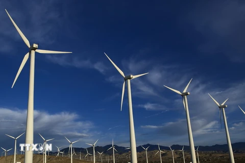 Các tuabin gió tại nhà máy phong điện ở Palm Springs, bang California. (Nguồn: THX/TTXVN)