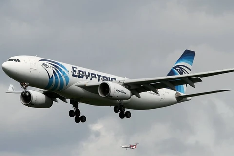 Một máy bay của Egypt Air. (Nguồn: businessinsider.com)