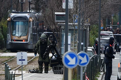 Cảnh sát Bỉ làm nhiệm vụ trong cuộc bố ráp ở Schaerbeek, Brussels. (Nguồn: AFP/TTXVN)