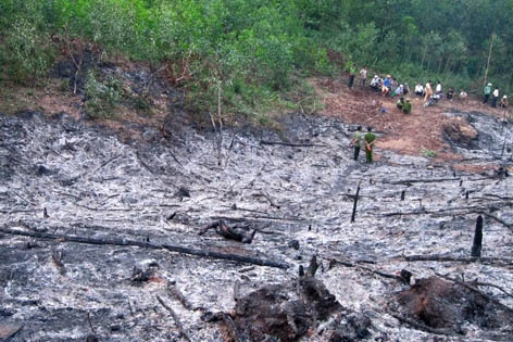 Quảng Ngãi: Cháy nương rẫy ngay sát rừng phòng hộ Nước Nia
